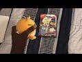 Little Tiger Watches The Paramount DVD Logo