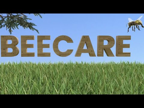 Film BEECARE
