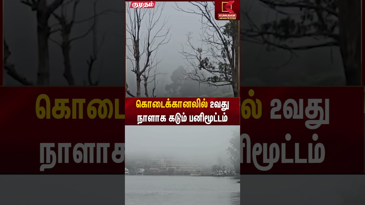 கொடைக்கானல் செல்லும் சுற்றுலா பயணிகளுக்கு ஒரு மகிழ்ச்சி செய்தி | Kodaikanal | Kumudam News
