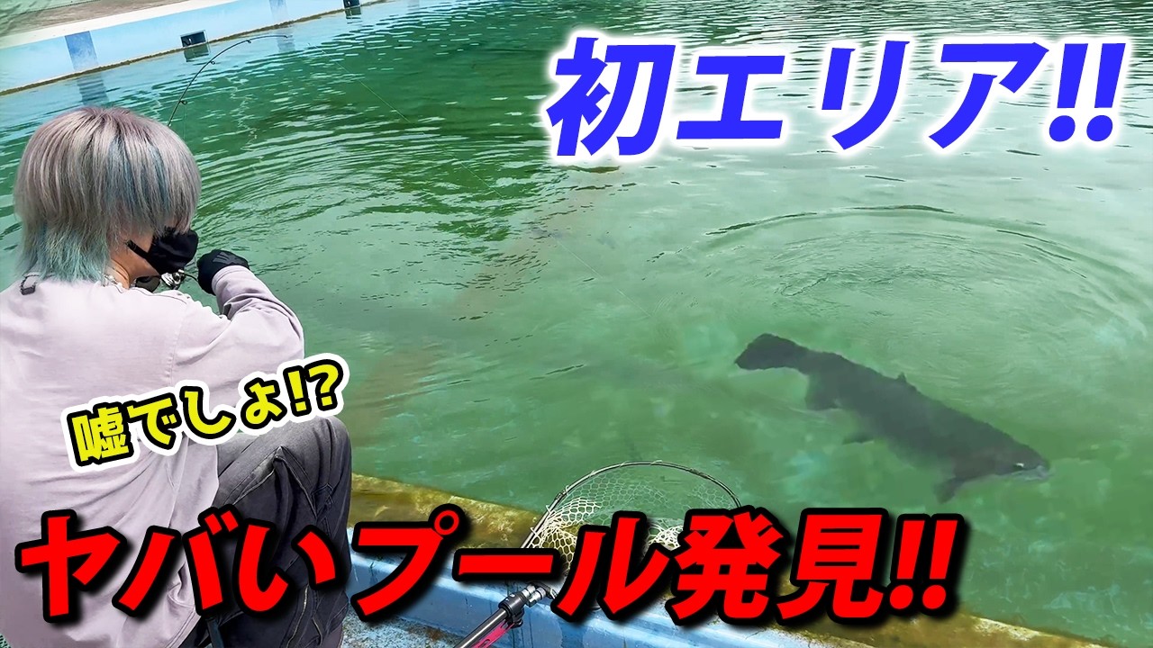 初めてのプールで釣りしたらヤバいことになった！【エリアトラウト・管理釣り場】