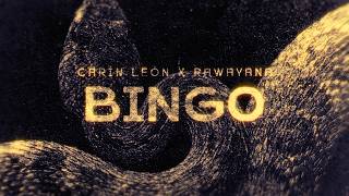 Bingo Lyrics English Translation