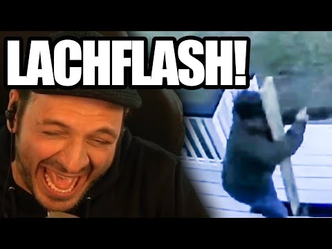 Kaya reacts to stupid videos!