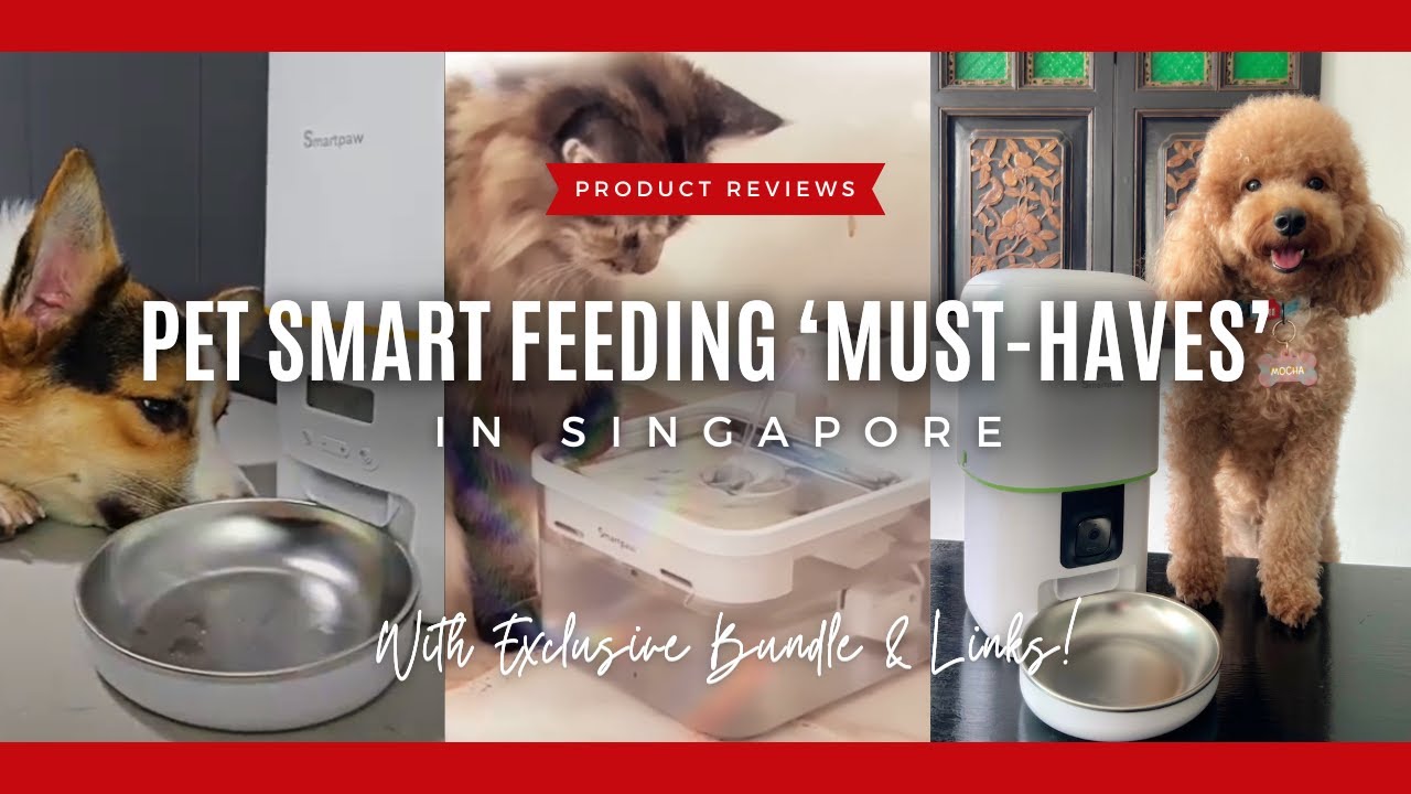 Pet Smart Feeding 'Must-Haves' in Singapore - Product Review Compilation (Exclusive Bundle & Links!)