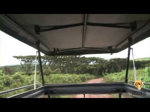 Thomson Safaris Land Rover Defenders - Karibu!