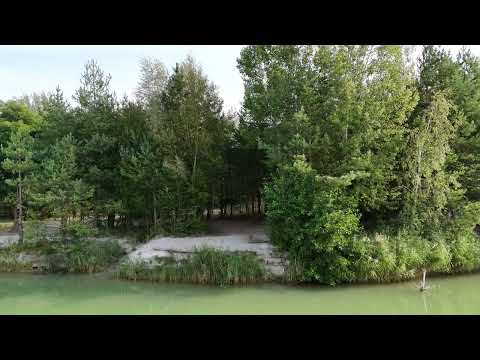 Pískovna Vejprnice - lovné místo č. 8