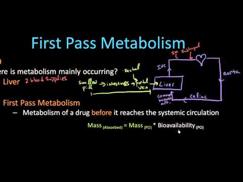 第一志望校合格 代謝学-薬理学講義6 (First Pass Metabolism - Pharmacology Lect 6)