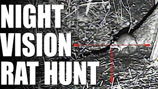 Night Vision Rat Hunt