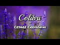 Cesare Cremonini - Colibrì (Testo)