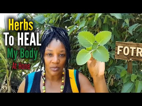 21 Herbs for Home Healing: Body & Mind Wellness