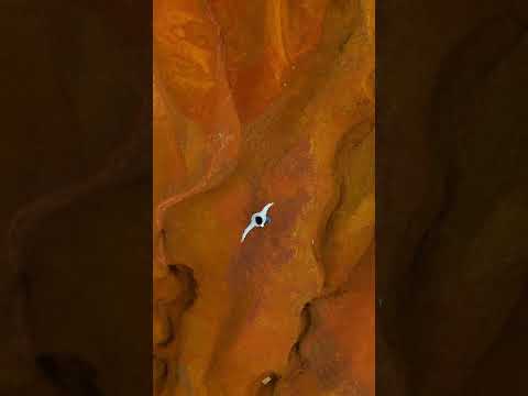 Apuesto a que no conocías Betulia en Santander  #santander  #viajescolombia  #shorts