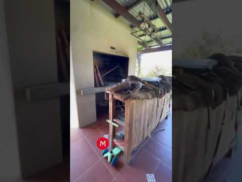 Video de YouTube - Venta casa 3 dormitorios en Mirador de la Tahona