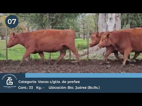 Lote VC CGP - Benito Juarez Bs As