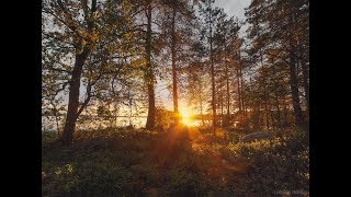 Карелия поселок гимолы рыбалка