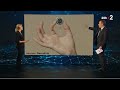 Elon Musk Neuralink L Implant Cérébral Journal 20h00 Sur France 2 30 01 24