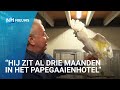 Klanten missen papegaai Elvis van Amsterdams restaurant 1e klas