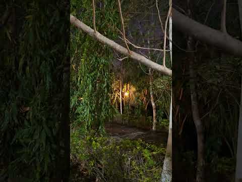 Peraza centro de eventos  en el paraíso de  san juan nonualco aun que ustedes no lo crean