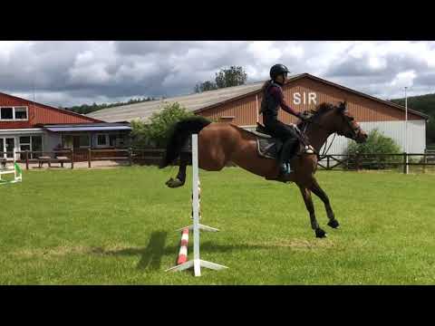 BYD velkommen til .......