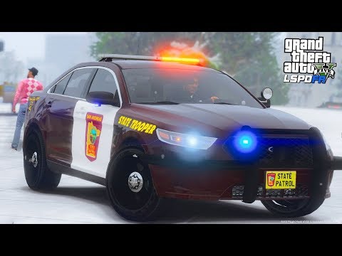 Minnesota Police Stop Plane - GTA 5 Police Mod | LSPDFR #256