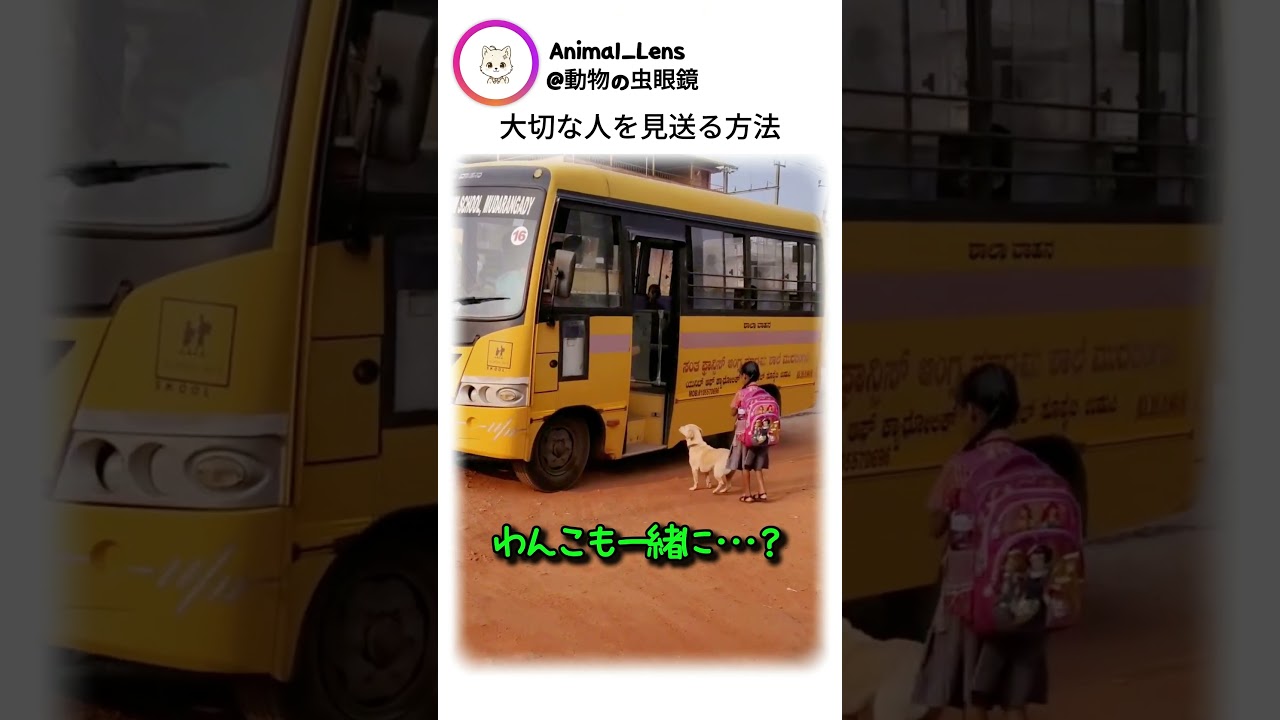 大切な人を見送る方法