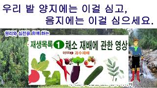 우리 밭 양지에는 이걸 심고, 음지에는 이걸 심으세요(작물과 일조량, 양성식물, 음성 식물, 내음성 작물, …