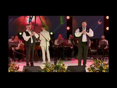 Marius Ciprian Pop - Ce s-ar face inima