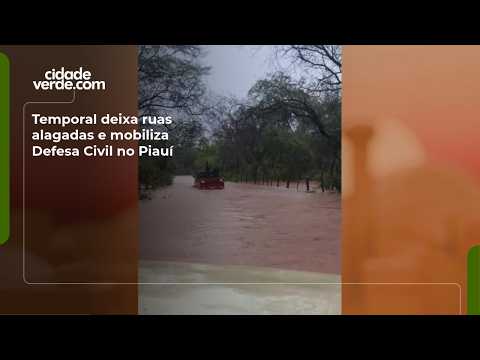 Temporal deixa ruas alagadas e mobiliza Defesa Civil no Piauí