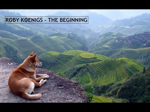 Roby Koenigs - The Beginning