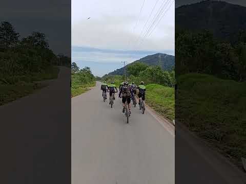 campo magro/Paraná/GF pedal