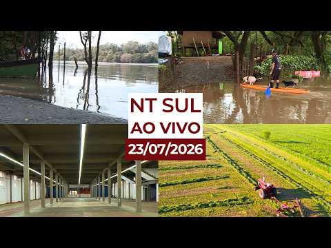 NT SUL AO VIVO 23-07-2026 | TV NOVO TEMPO