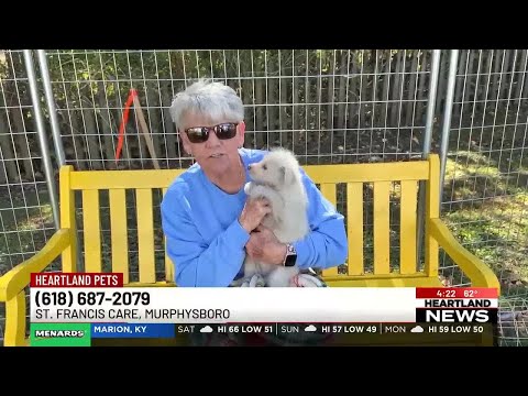 Heartland Pets feat. Nevaeh on 10/24