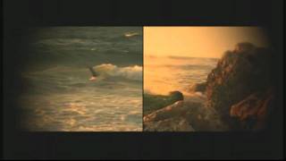 Ryuichi Sakamoto : Amore