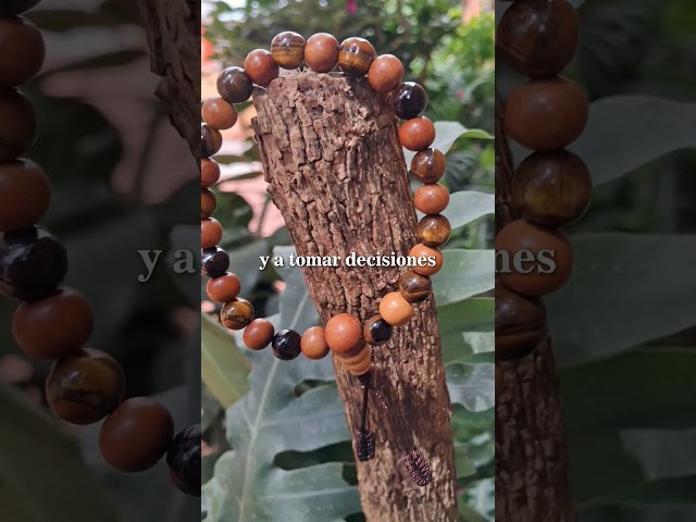 Vídeo relacionado con Piedra de ojo de tigre Namibia pulida 2-3 cm de calidad premium | Protección, confianza, fuerza y coraje | Flor de la vida incluida | Guía práctica y meditación ofrecida | Regalo Zen Bienestar | 1