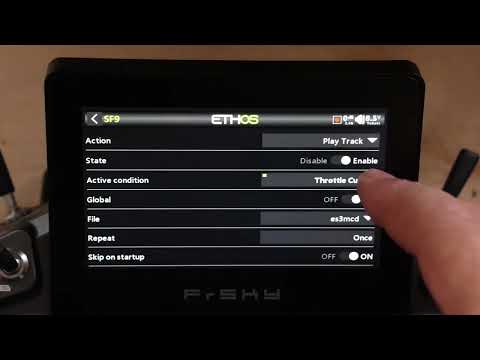 ETHOS Tech Tip 17 - Useful Global Special Functions