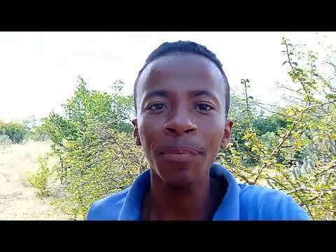 GILMAR MOSTRA OS PEREIRAS DO SERTÃO DO NORDESTE 