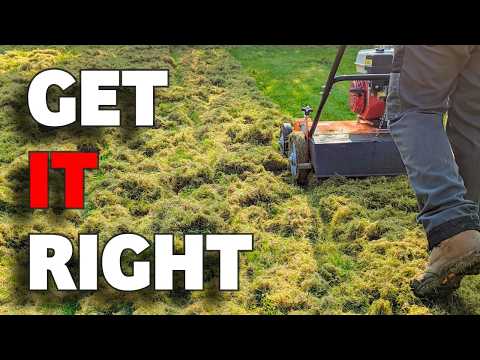How When and How Often Should You Scarify Your Lawn (Beginners Guide)