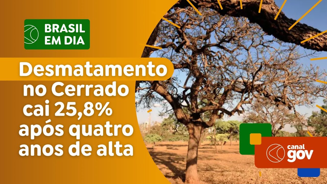 Desmatamento no Cerrado cai 25,8% após quatro anos de alta