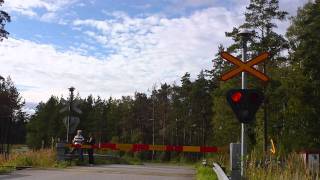 preview picture of video 'H 1924 passes Predium level crossing'