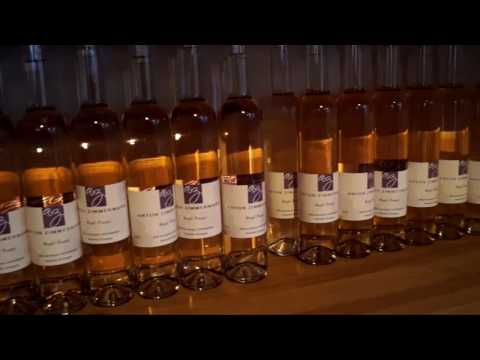 Mosel & Saar per Rad & Schiff MS Patria