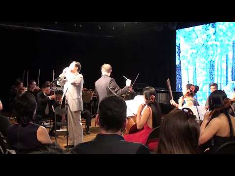 Jiayi He plays Taking Tiger Mountain by Strategy with Fang Fei and Asian Cultural Symphony