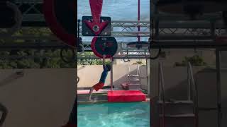 Ninja Warrior Pool Workout #shorts #fitness #kids