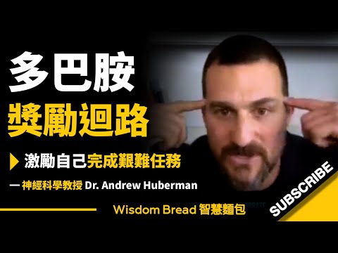 如何利用「多巴胺獎勵迴路」激勵自己完成艱難任務？ ► 史丹佛神經科學教授：關鍵在於這個小舉動 - Dr. Andrew Huberman（中英字幕）。 (如何利用「多巴胺獎勵迴路」激勵自己完成艱難任務？ ► 史丹佛神經科學教授：關鍵在於這個小舉動 - Dr. Andrew Huberman （中英字幕）)
