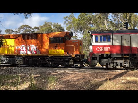 LZ3120 on SCT, An ultra rare morning Around Adelaide Pt5