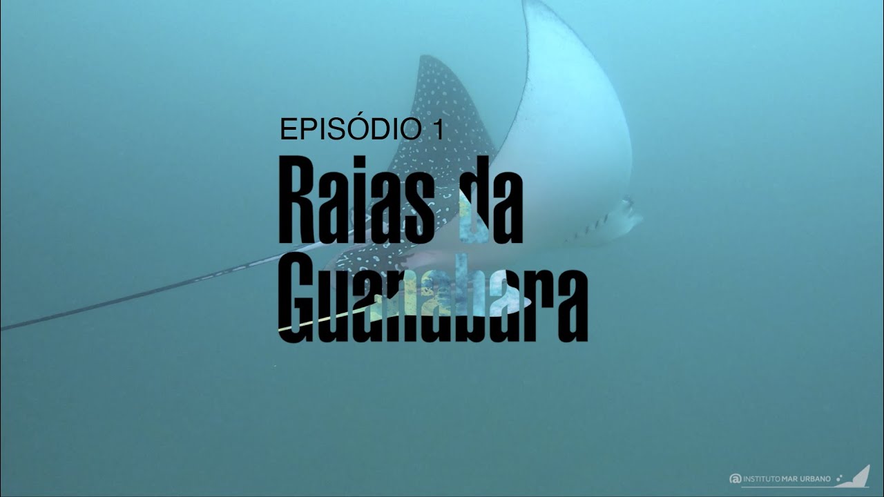 Raias da Guanabara - Episódio 1