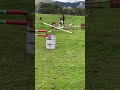 Apparently I Knocked It