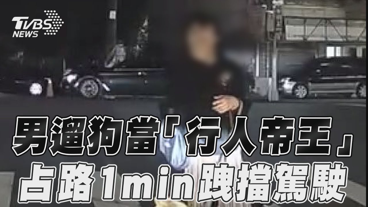 影音／男遛狗當「行人帝王」　占路1min跩擋駕駛