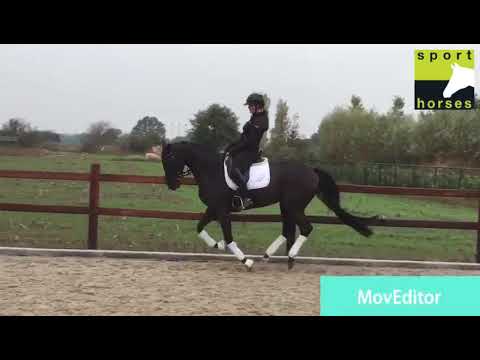 Oldenburg | San Amour | De Niro