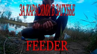 Ловля карася в загубье ленинградская область
