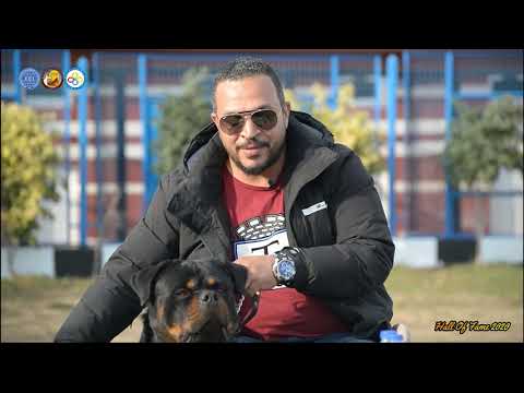 The most famous Rottweiler breeder and expert in Egypt... Amr Naguib... Hall of Fame