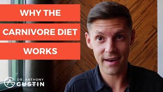 The Real Reasons Why The Carnivore Diet Works