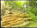 Willy Mukabya Zina Official Video